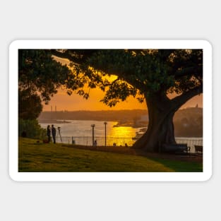 Sunset on Sydney Harbour, Observatory Hill Park, Sydney, NSW, Australia Magnet